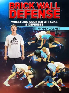 Brick Wall Defense by Hayden Zillmer